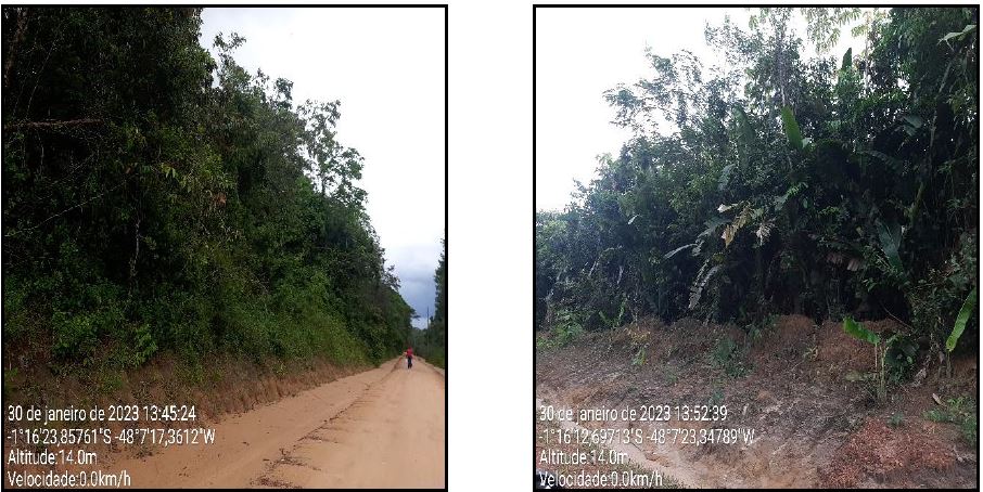 Terreno da Caixa em SANTA ISABEL DO PARA / PA - 10007428