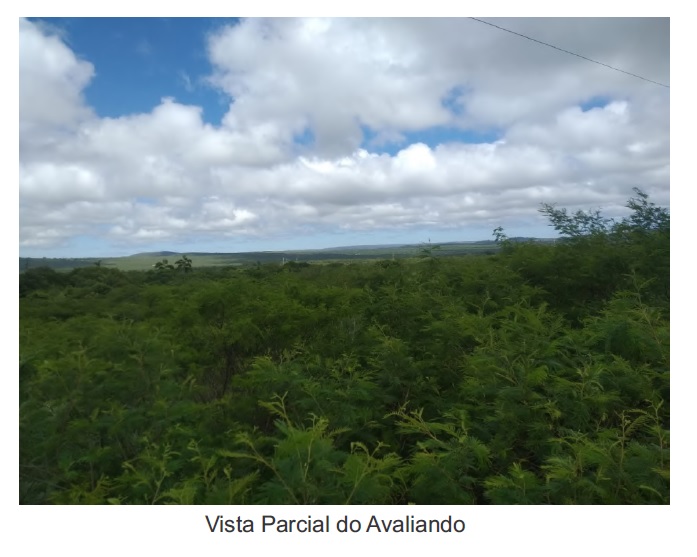 Terreno Caixa em CAETITE / BA - 10011806