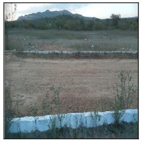 Terreno da Caixa em JATAUBA / PE - 10196820