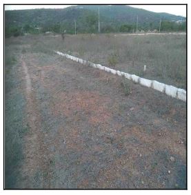 Terreno da Caixa em JATAUBA / PE - 10196833