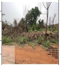 Terreno da Caixa em CAMPO GRANDE / MS - 10198061