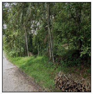 Terreno da Caixa em SAO LOURENCO DA MATA / PE - 10207239