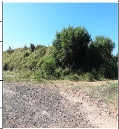 Terreno da Caixa em TAMBAU / SP - 10208974