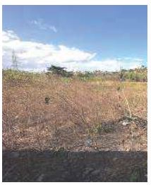 Imóvel da Caixa em CACHOEIRO DE ITAPEMIRIM / ES - 10209013