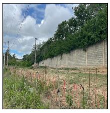 Terreno da Caixa em CARUARU / PE - 10210871