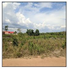 Terreno da Caixa em CHAPADINHA / MA - 10211333