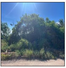 Terreno da Caixa em VILA VELHA / ES - 10214659