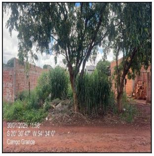 Terreno da Caixa em CAMPO GRANDE / MS - 10215732
