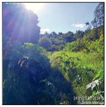 Terreno da Caixa em CAMPO MOURAO / PR - 10218088