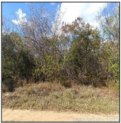 Terreno da Caixa em JAIBA / MG - 10218357