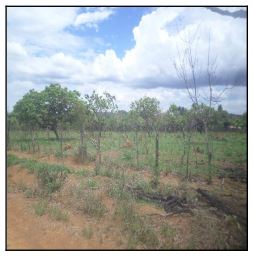 Terreno da Caixa em LUZIANIA / GO - 1444406922996