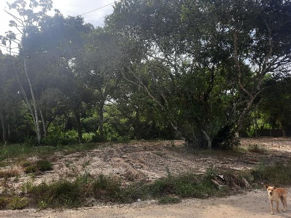 Terreno da Caixa em IGUABA GRANDE / RJ - 1444408073171