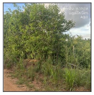 Terreno da Caixa em LAGOA DO CARRO / PE - 1444415596281