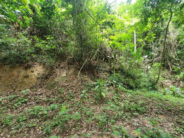 Terreno da Caixa em NITEROI / RJ - 1444419457081