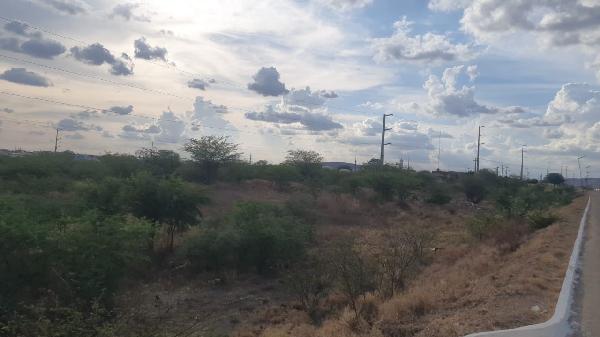 Terreno da Caixa em OURICURI / PE - 1555517708285