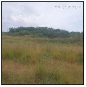 Terreno Caixa em ALIANCA / PE - 1555525779293