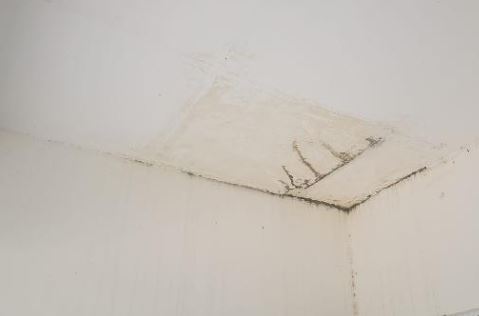 Casa da Caixa em ARCOVERDE / PE - 8444419280295