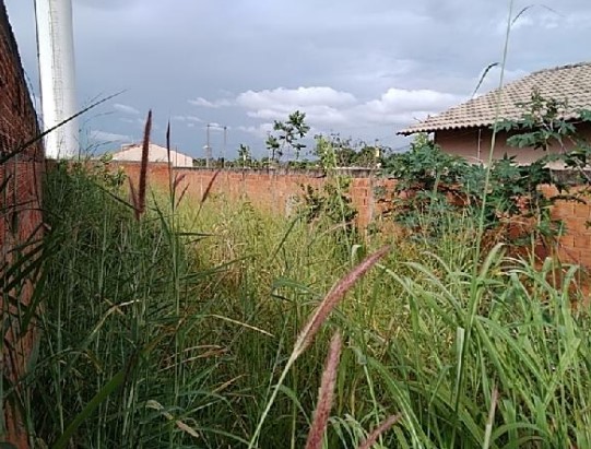 Imóvel da Caixa em PLANALTINA / GO - 8444420306570