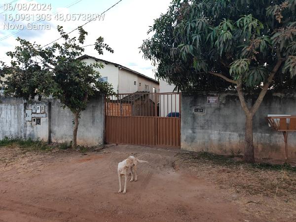 Casa da Caixa em NOVO GAMA / GO - 8444424913578