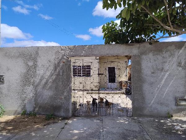 Imóvel da Caixa em CAMPINA GRANDE / PB - 8787704563430