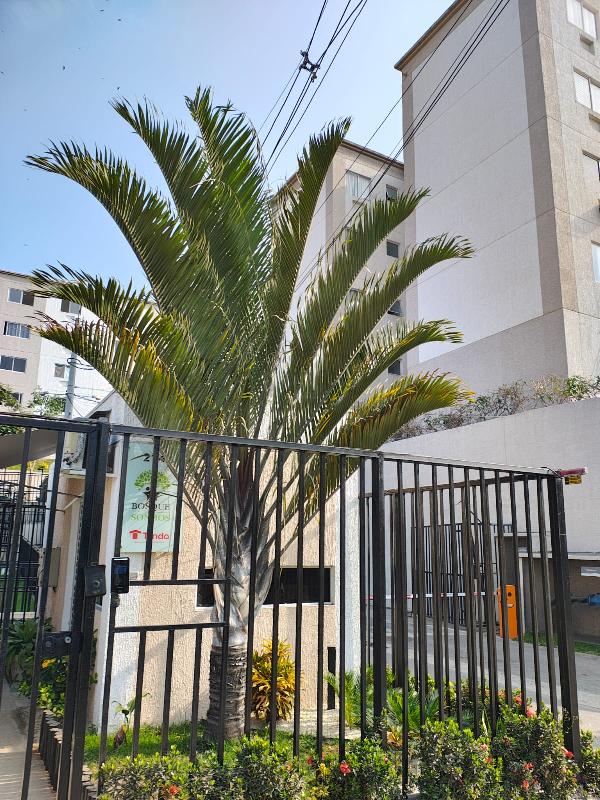 Apartamento da Caixa em SAO GONCALO / RJ - 8787705841433