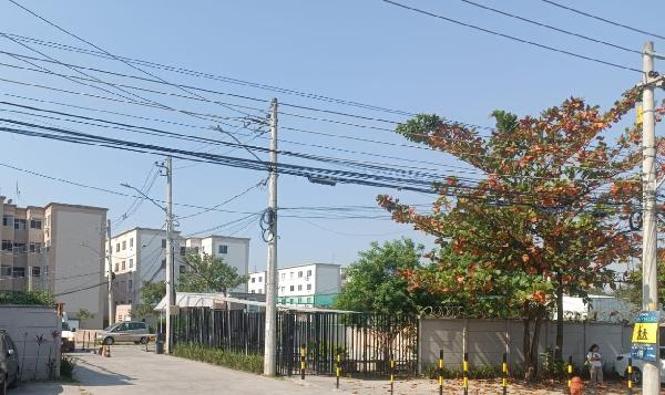 Apartamento da Caixa em RIO DE JANEIRO / RJ - 8787706640237