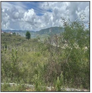 Terreno da Caixa em GRAVATA / PE - 10224692