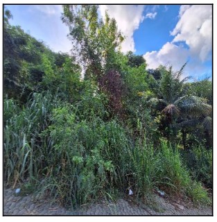Terreno da Caixa em SERRA / ES - 10258729
