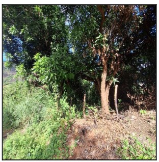 Terreno da Caixa em SERRA / ES - 10258747