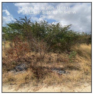 Imóvel da Caixa em CARUARU / PE - 10274835