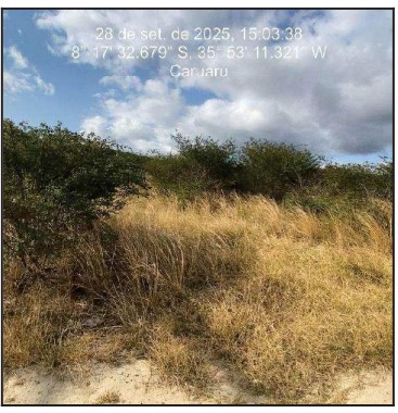 Terreno da Caixa em CARUARU / PE - 10275028