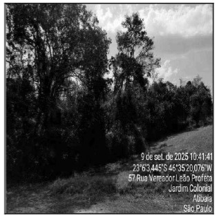 Gleba da Caixa em ATIBAIA / SP - 10275689