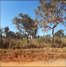 Terreno da Caixa em LUZIANIA / GO - 1444406385052