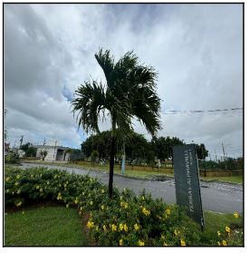 Terreno da Caixa em BARRA DOS COQUEIROS / SE - 1444418465641