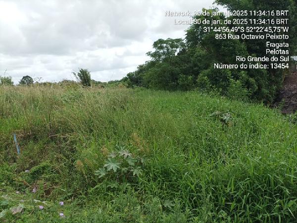 Terreno da Caixa em PELOTAS / RS - 1444421645558