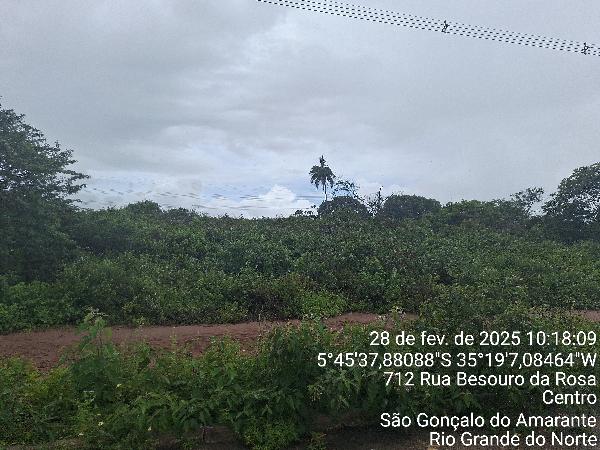 Terreno da Caixa em SAO GONCALO DO AMARANTE / RN - 1555531762526