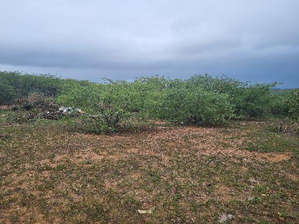 Terreno da Caixa em SAO VICENTE / RN - 1555531960182