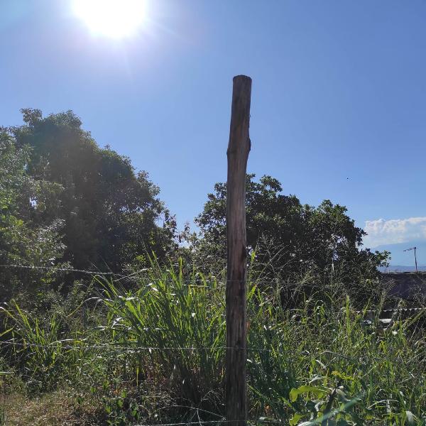 Terreno da Caixa em SAO GONCALO / RJ - 8444404136525
