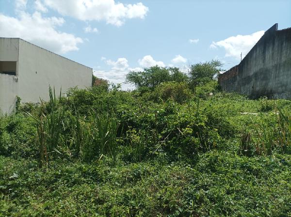 Casa da Caixa em NOSSA SENHORA DO SOCORRO / SE - 8444419901400