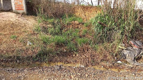 Terreno da Caixa em CAPIVARI / SP - 8444422439372