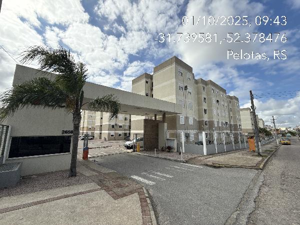 Apartamento da Caixa em PELOTAS / RS - 8787702997483