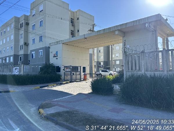 Apartamento da Caixa em PELOTAS / RS - 8787706007771