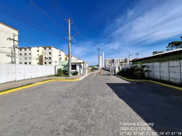 Apartamento da Caixa em PELOTAS / RS - 8787706753368