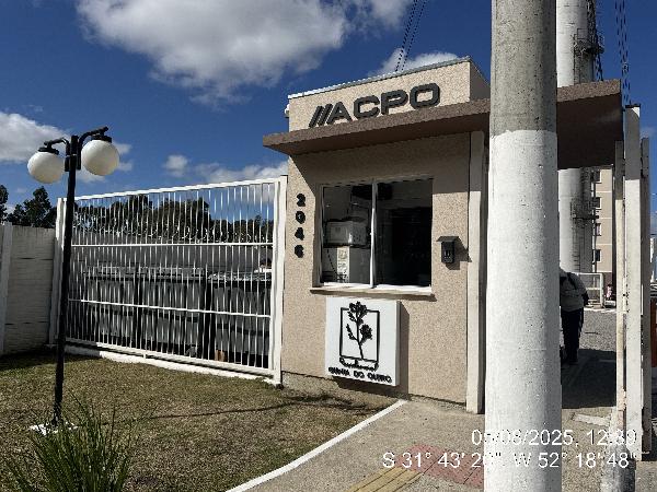 Apartamento da Caixa em PELOTAS / RS - 8787714708260