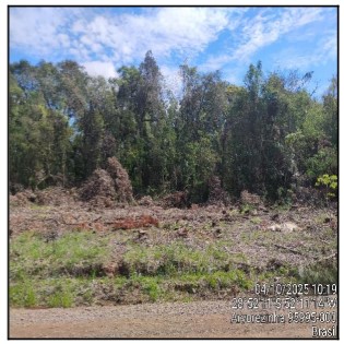 Gleba da Caixa em ARVOREZINHA / RS - 10275553