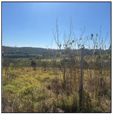 Terreno da Caixa em PERDIGAO / MG - 10277178