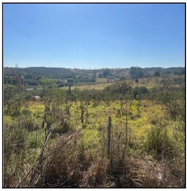 Terreno da Caixa em PERDIGAO / MG - 10277182