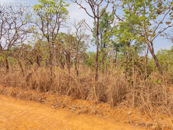 Imóvel da Caixa em LUZIANIA / GO - 1444406117503