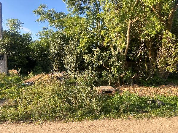 Casa da Caixa em CAPAO DO LEAO / RS - 1444407372485