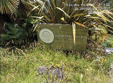 Terreno da Caixa em GRAMADO / RS - 10008320